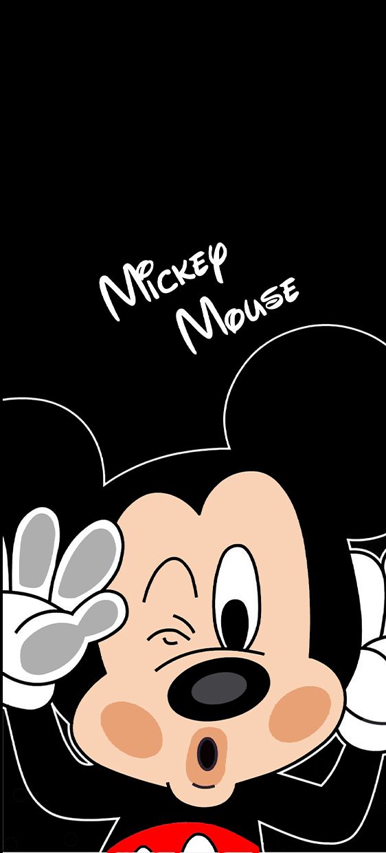 Hình Ảnh Mickey 6