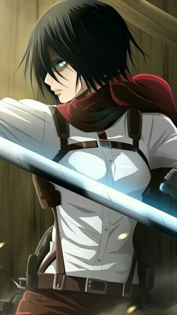 Hình Ảnh Mikasa Ackerman 62