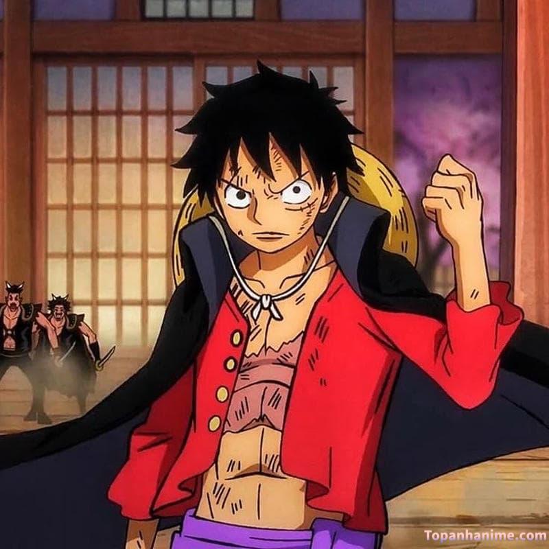 ảnh anime Luffy 26