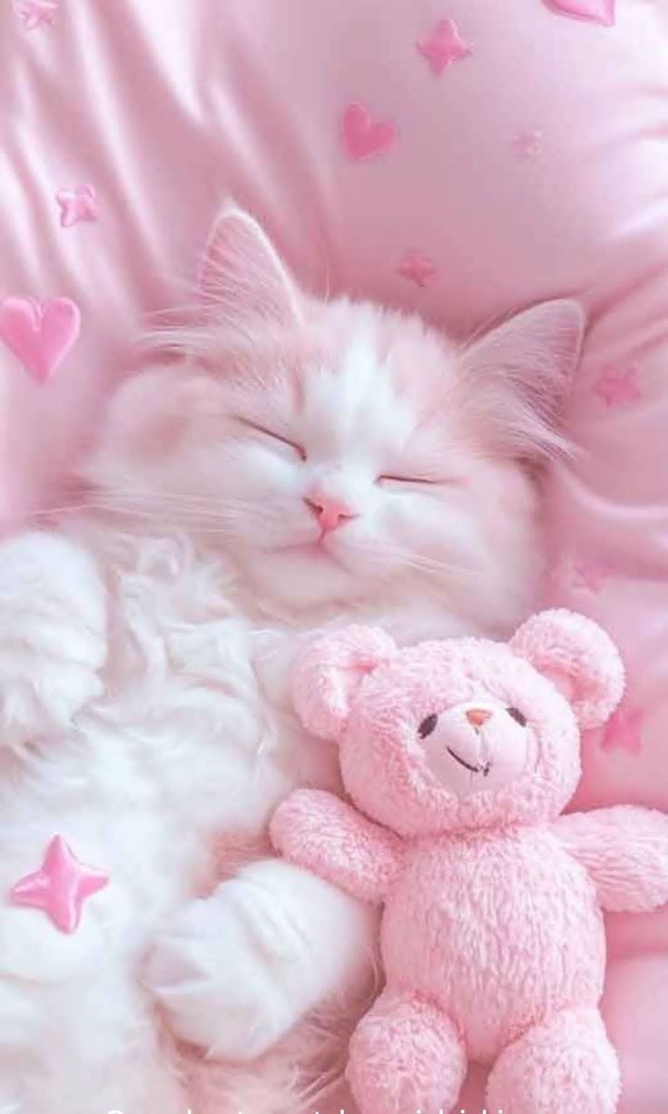 Hình nền cute cho điện thoại 11