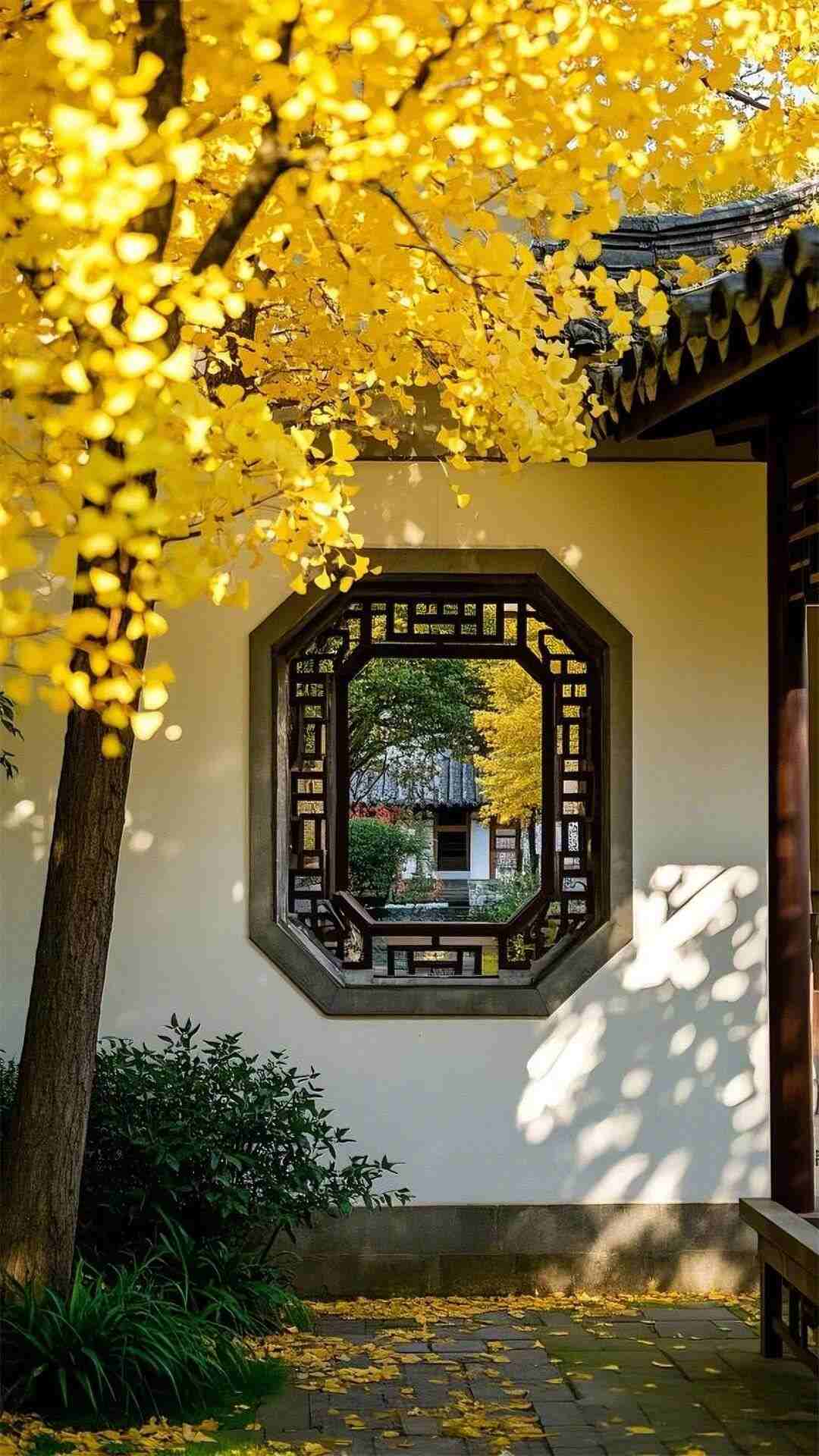 Hình nền đẹp 15