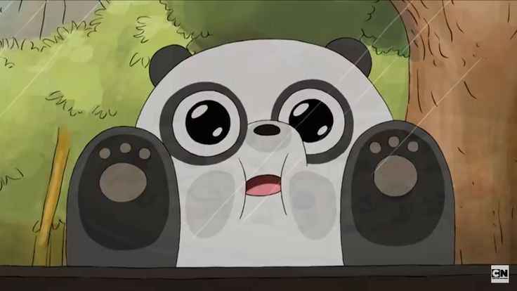 Hình Nền Gấu 15