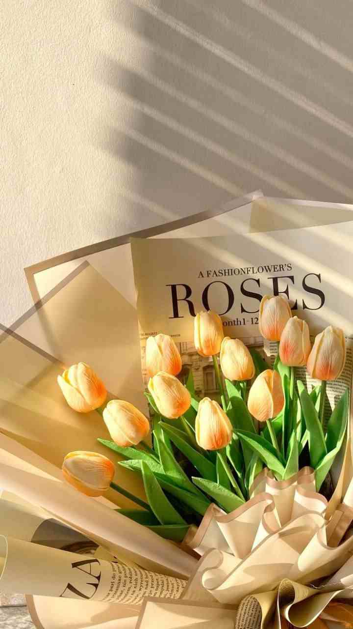 Hình nền hoa tulip chill 9