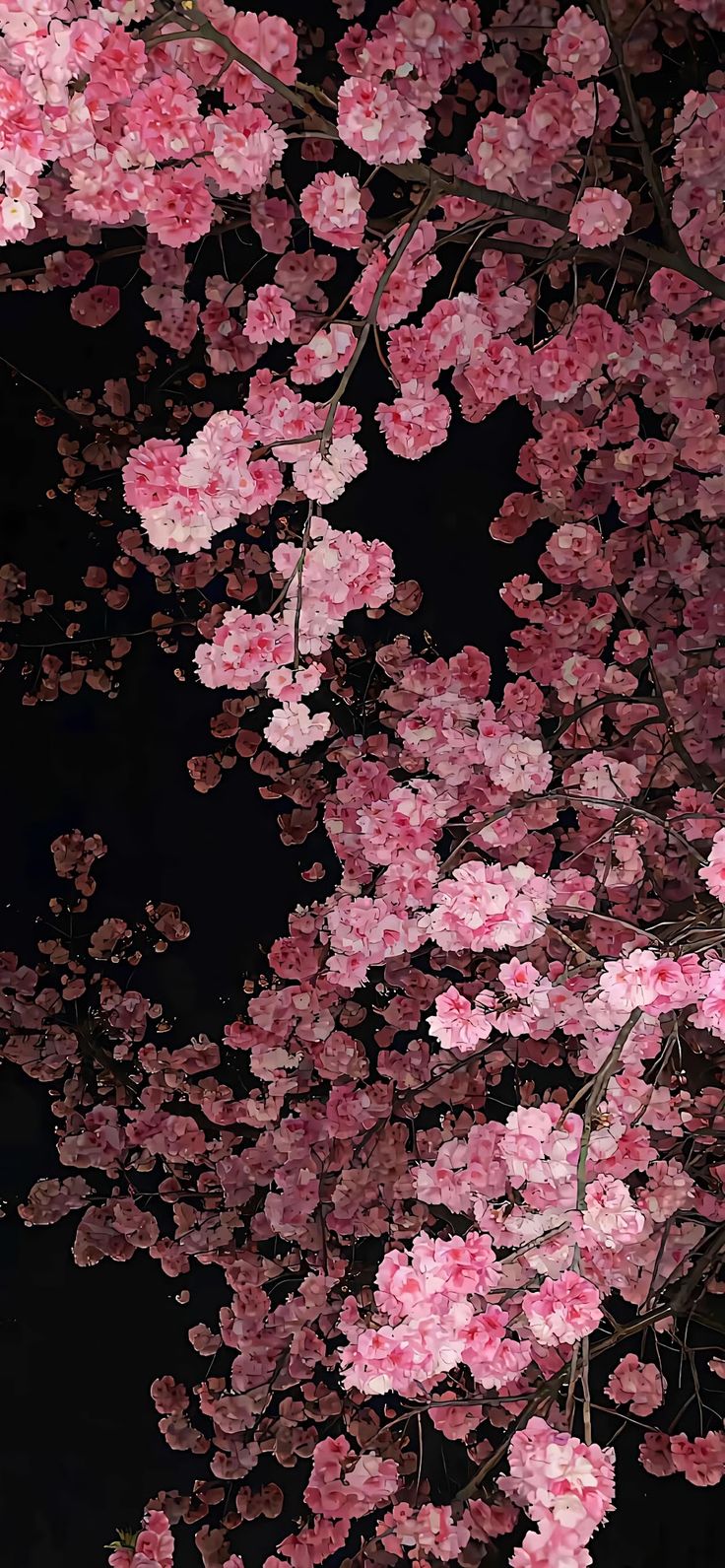 Hình Nền iPhone 14 Pro Max 6