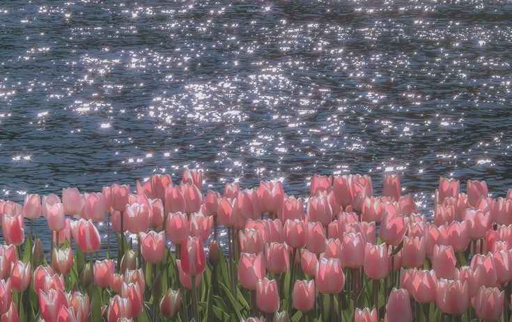 Hình Nền Máy Tính Đẹp 4