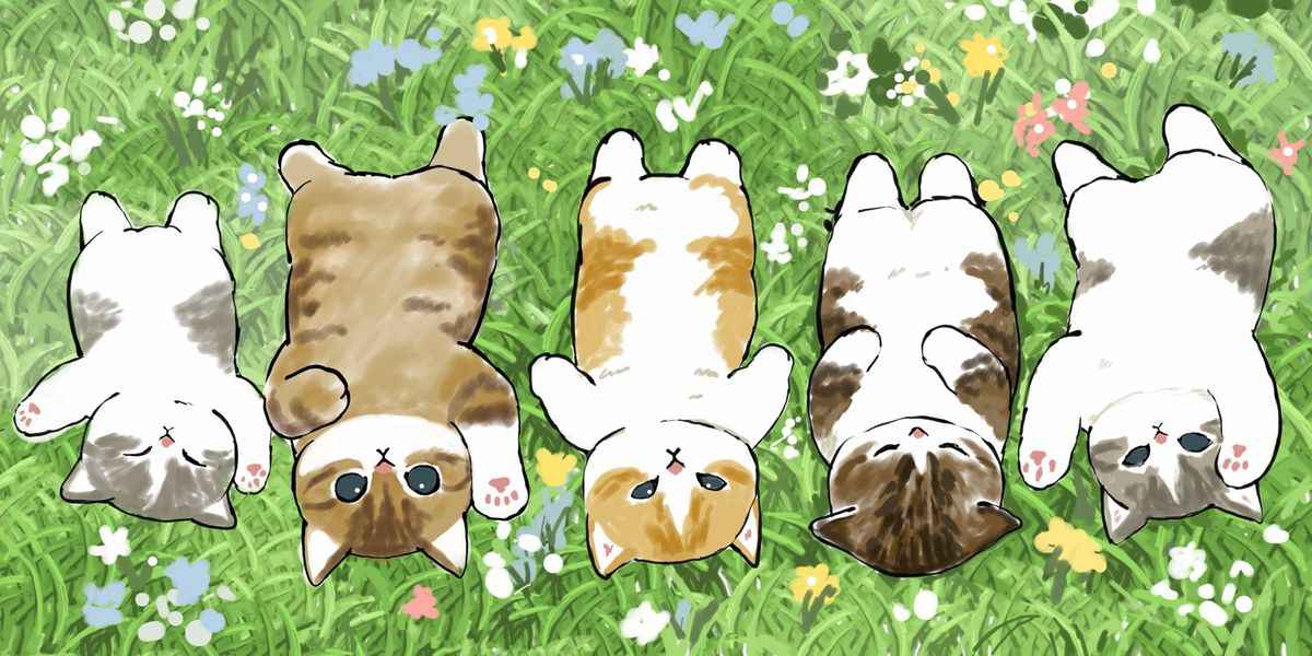 Hình Nền Mèo Cute 16