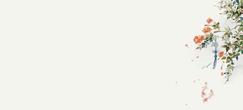 Ảnh Nền Trắng 15