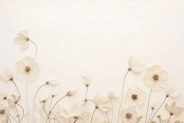 Ảnh Nền Trắng 9