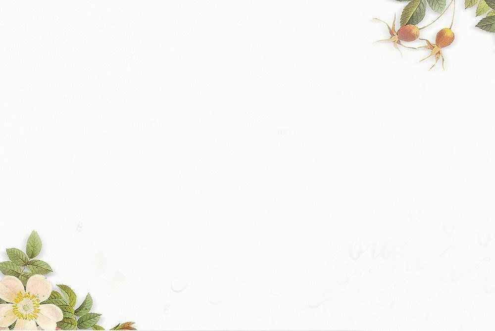 Ảnh Nền Trắng 10