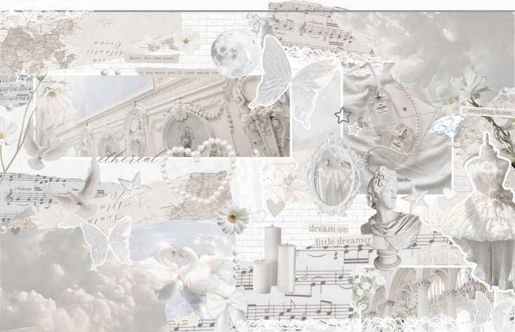 Ảnh Nền Trắng 12