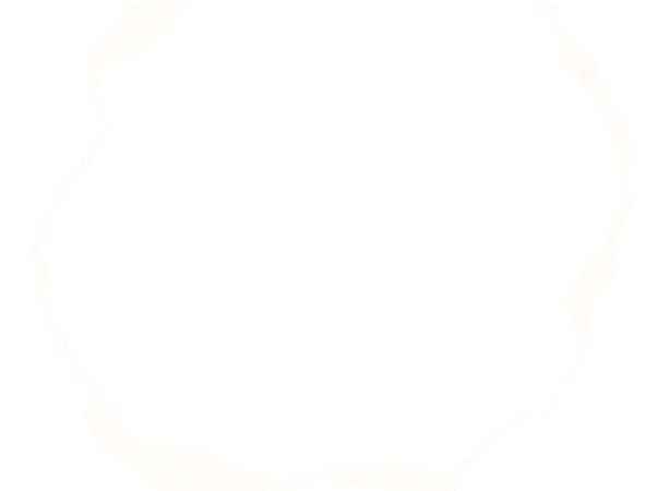 Ảnh Nền Trắng 16