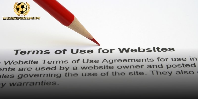 Hội viên cần tuân thủ đầy đủ các quy định và bảo mật thông tin