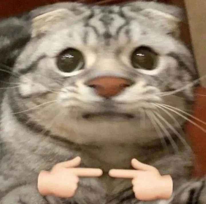 Meme Dễ Thương 14