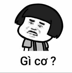 Gấu Trúc Meme 14
