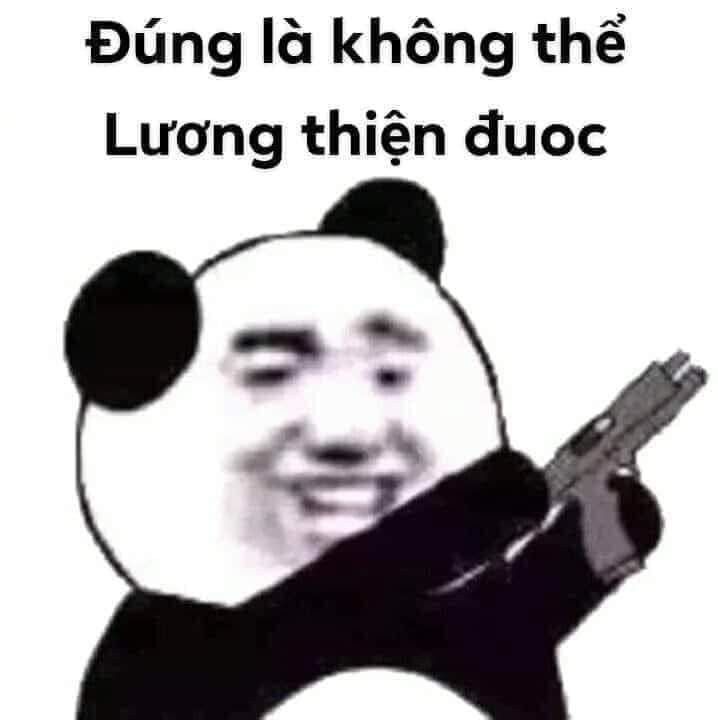 Gấu Trúc Meme 6