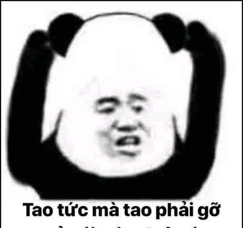 Gấu Trúc Meme 7