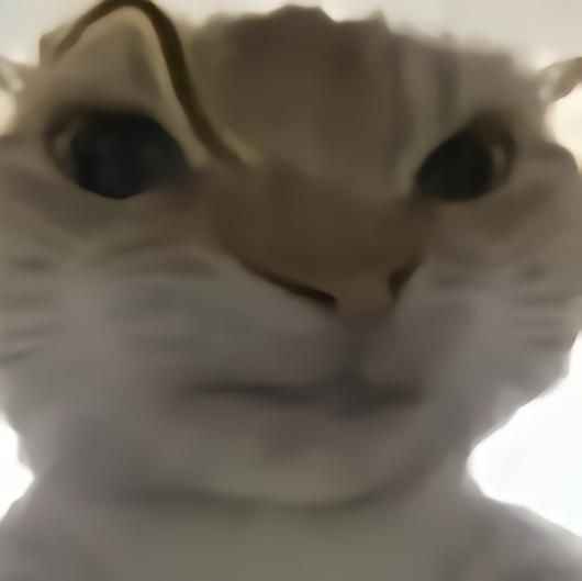 Meme tức giận 13