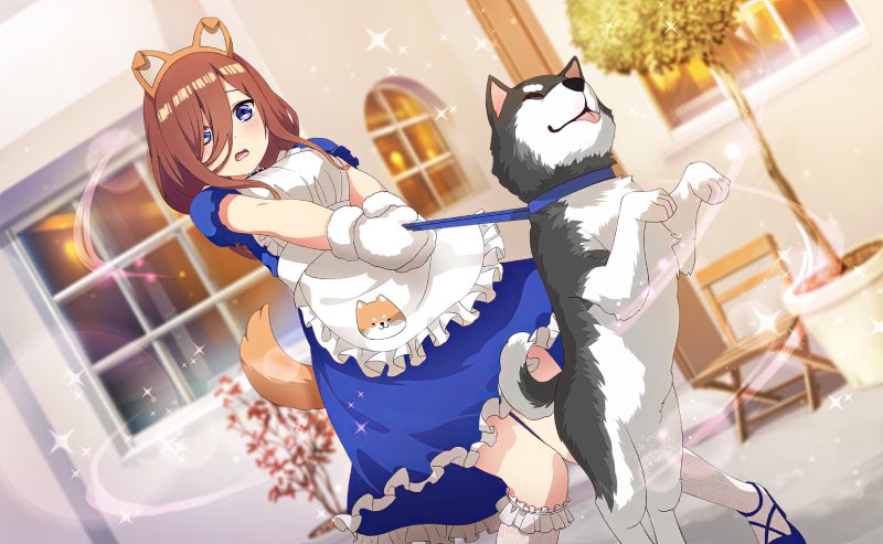 ảnh Miku Nakano 27