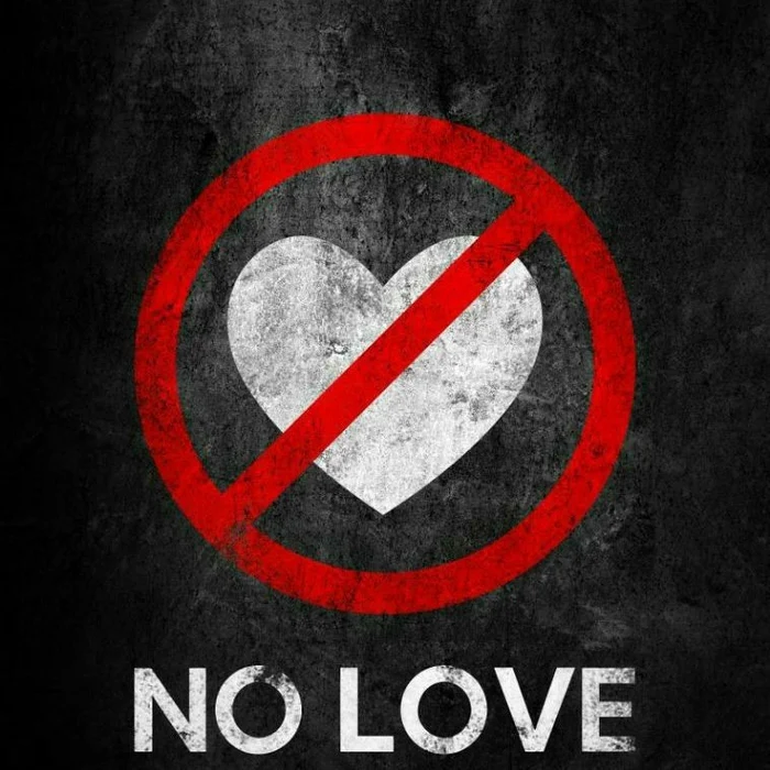 No Love DP 48
