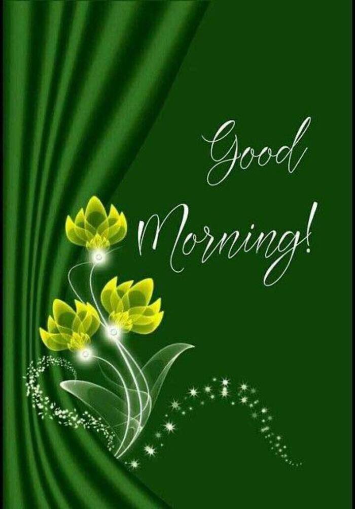 Beautiful Nature Good Morning Images 15