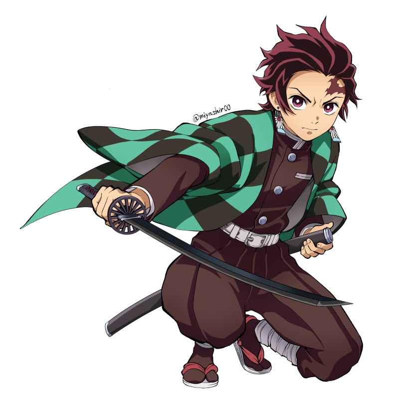 Thanh Gươm Diệt Quỷ Anime 12