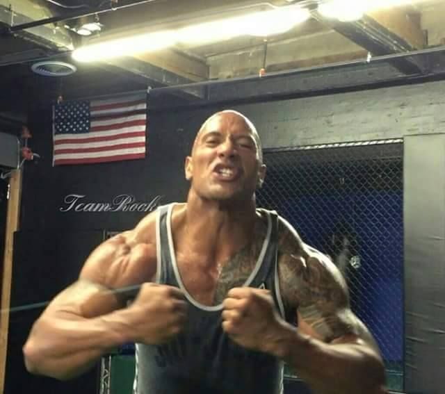 The Rock Meme 12