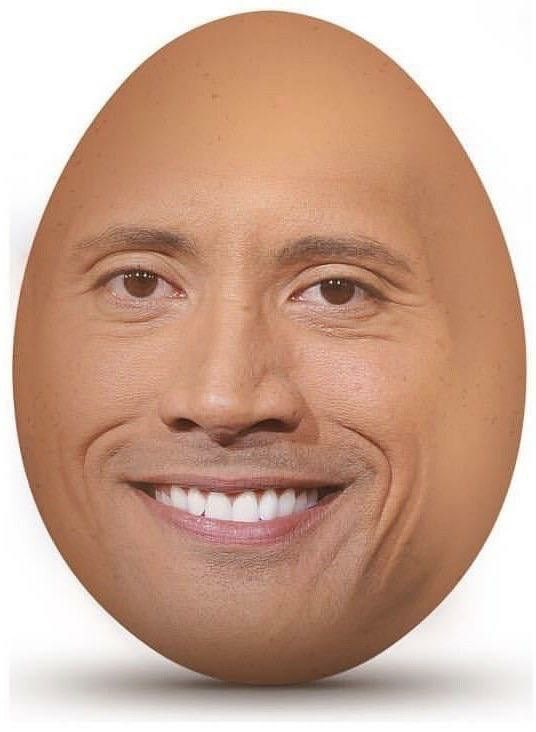 The Rock Meme 20