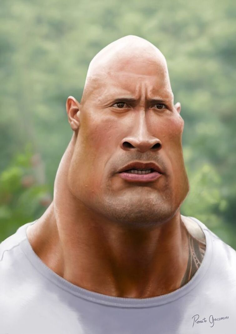 The Rock Meme 10