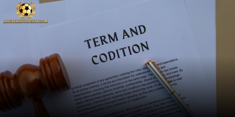 Top 3 nội dung chính theo điều khoản sử dụng